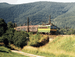 162029b.jpg
