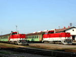 736102b.jpg