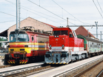 736102c.jpg