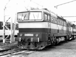 753051a.jpg
