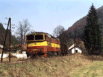 753052a.jpg