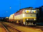 753053b.jpg