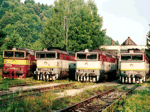 753053d.jpg