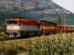 753054a.jpg