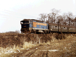 753064a.jpg