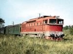 753069a.jpg