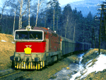 753069b.jpg