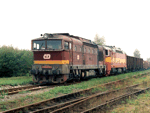 753071a.jpg