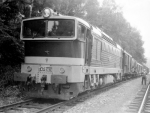753072a.jpg