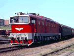 753072c.jpg