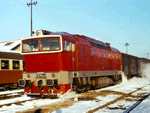 753072d.jpg