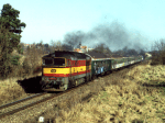 753073a.jpg