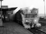 753073b.jpg