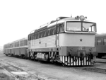 753073d.jpg