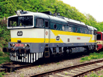 753301b.jpg