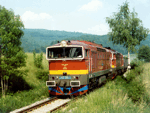753301c.jpg