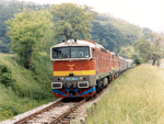 753301d.jpg
