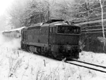 753302a.jpg