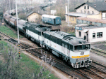 753305a.jpg