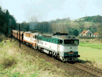 753306a.jpg