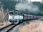 753306d.jpg