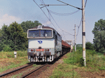 753306e.jpg