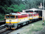 753310a.jpg