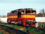 753317a.jpg