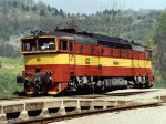 753324a.jpg