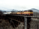 753324d.jpg