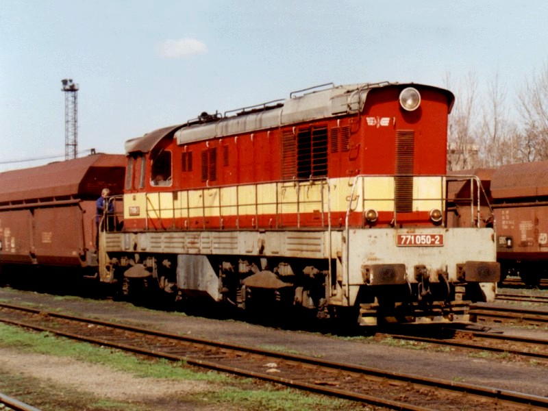 [800x600] 771050b.jpg