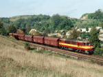 775010b.jpg