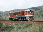 775012e.jpg