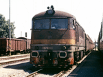 775013a.jpg