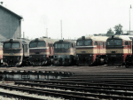 775013b.jpg