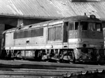 775013d.jpg