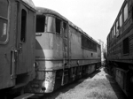 775013f.jpg