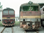 775013g.jpg