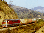 775013h.jpg