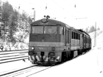 775014d.jpg