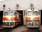 775016d.jpg