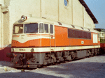775016o.jpg