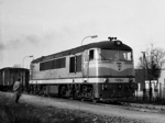 775017d.jpg
