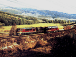 775a781a.jpg
