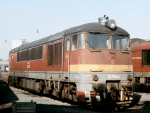 776017a.jpg