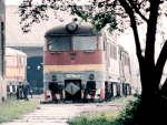 776017b.jpg
