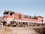 776017d.jpg