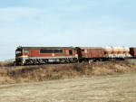 776017e.jpg