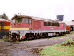 776017f.jpg