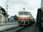 776019c.jpg